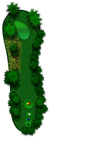 Hole Overview